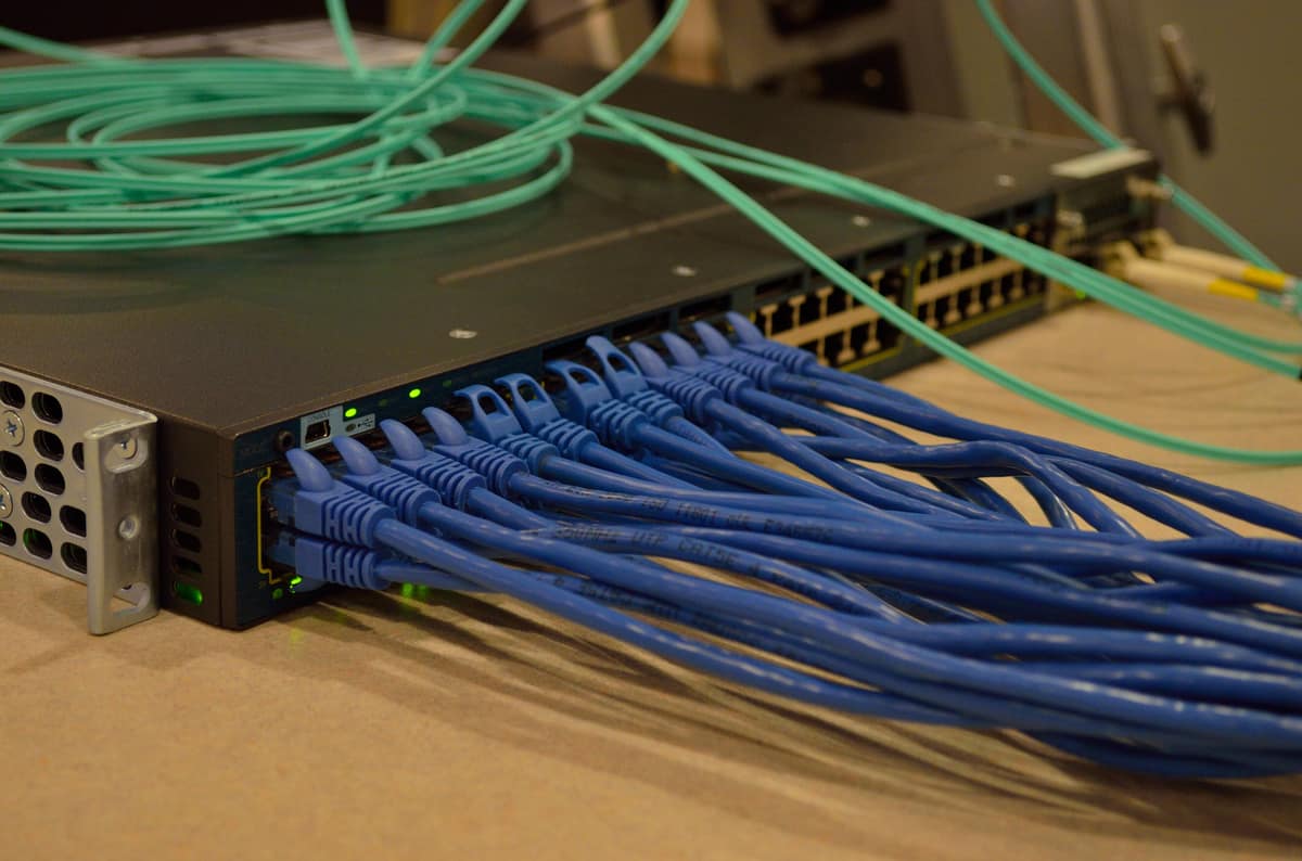 Network switch with a bundle of blue patch cables plugged into its front ports